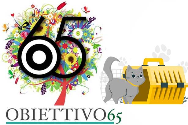 obiettivo 65 lettiere