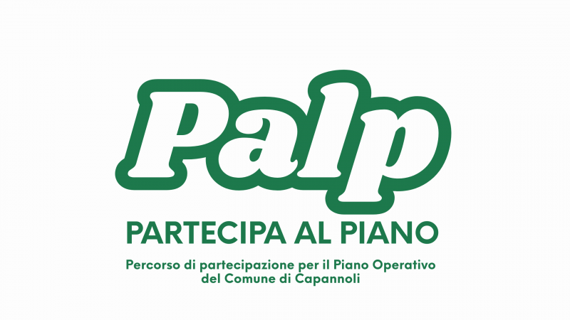 Palp